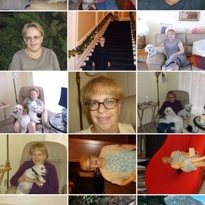 Meet your Posher, Robin